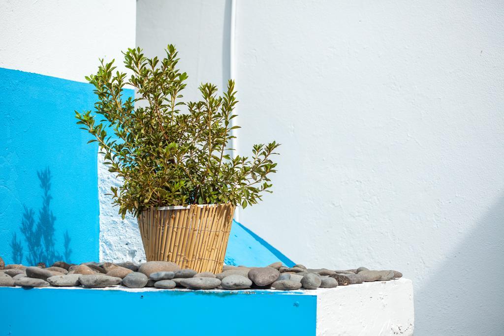 The Pallet - Guest House Santa Cruz  Exterior foto